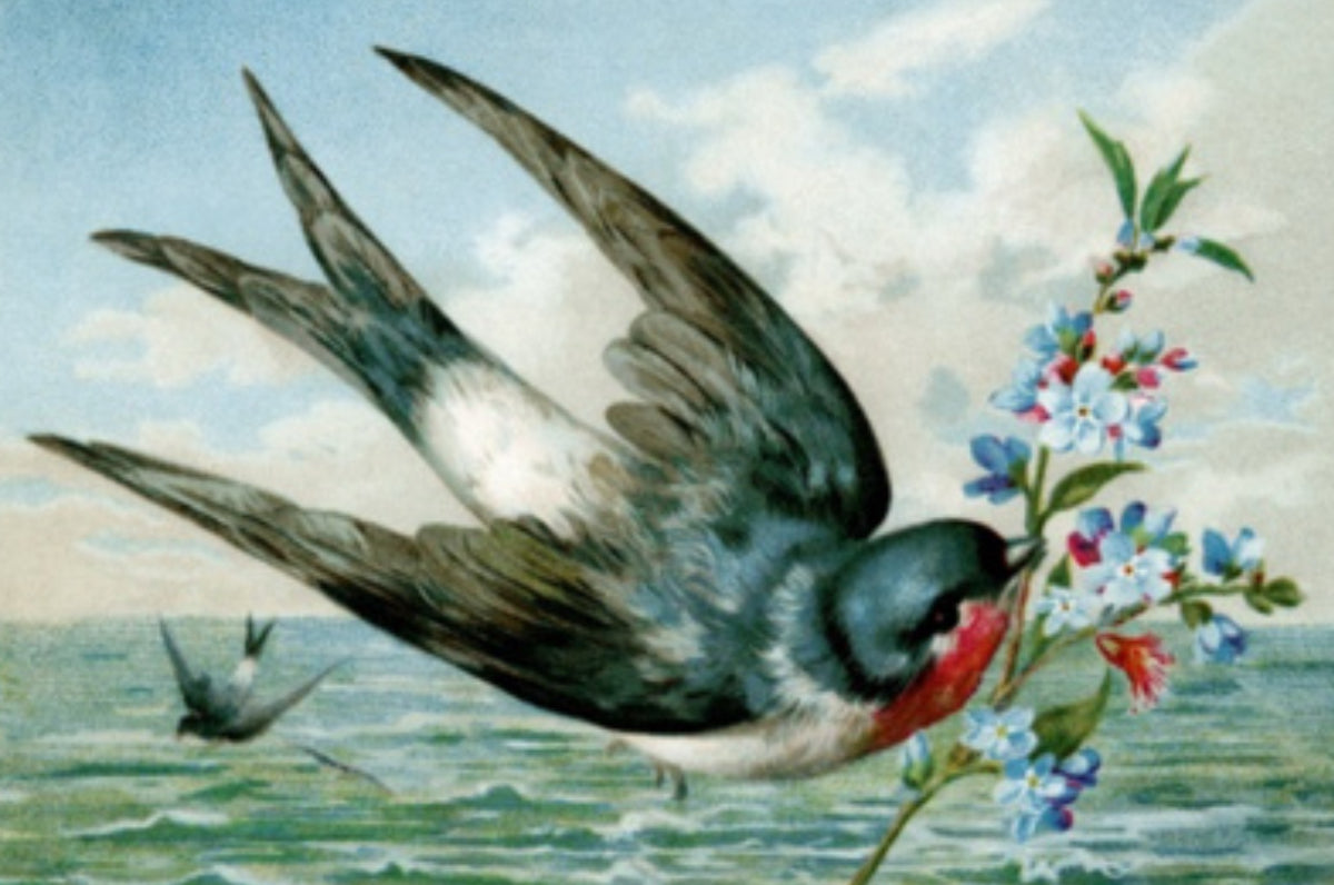 The Swallows Are Coming Sock Kit