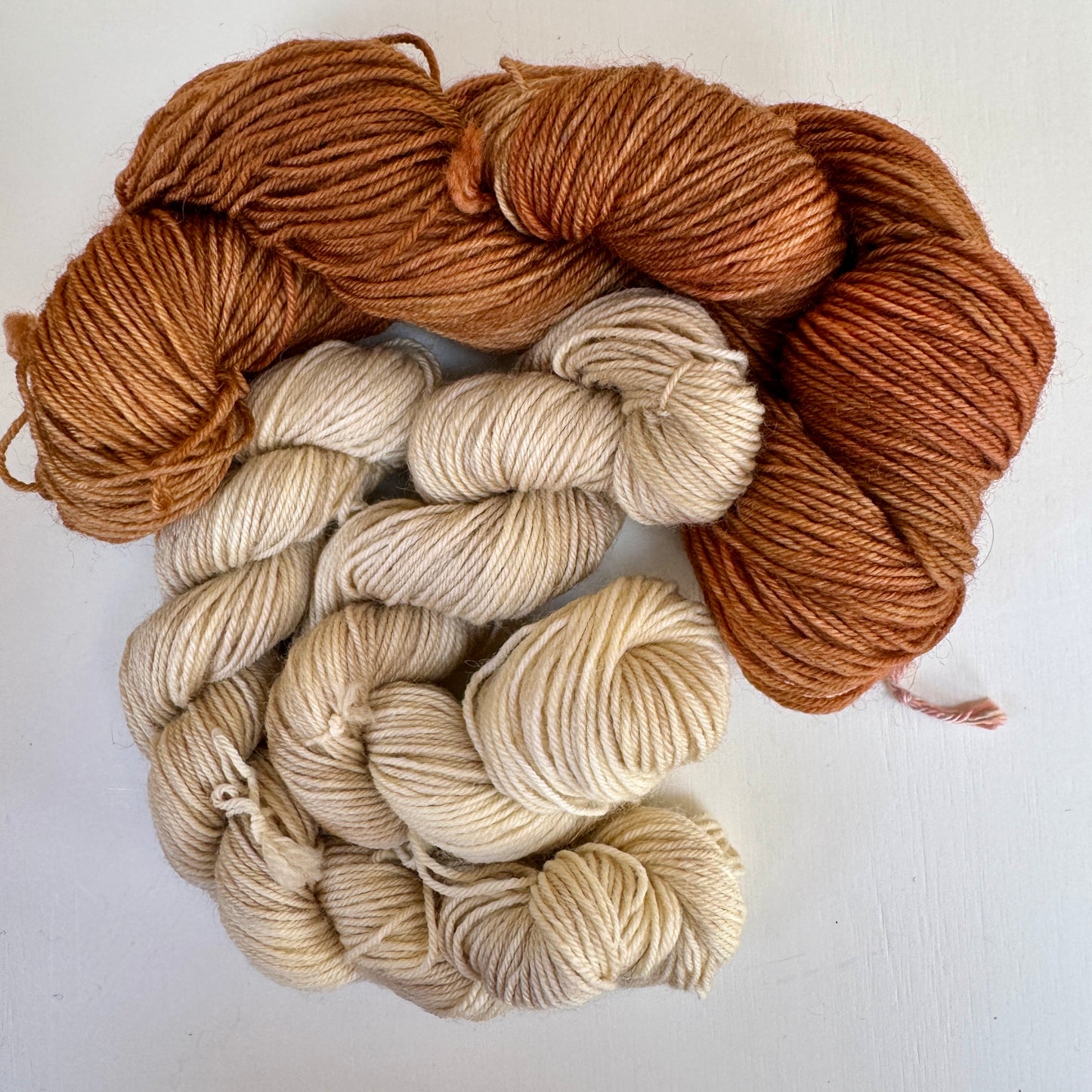 Cappuccino "Frill Seeker" Sock Kit