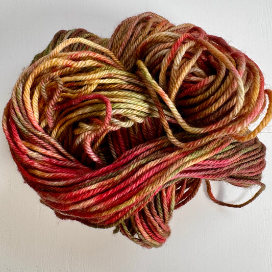 Copper Beech