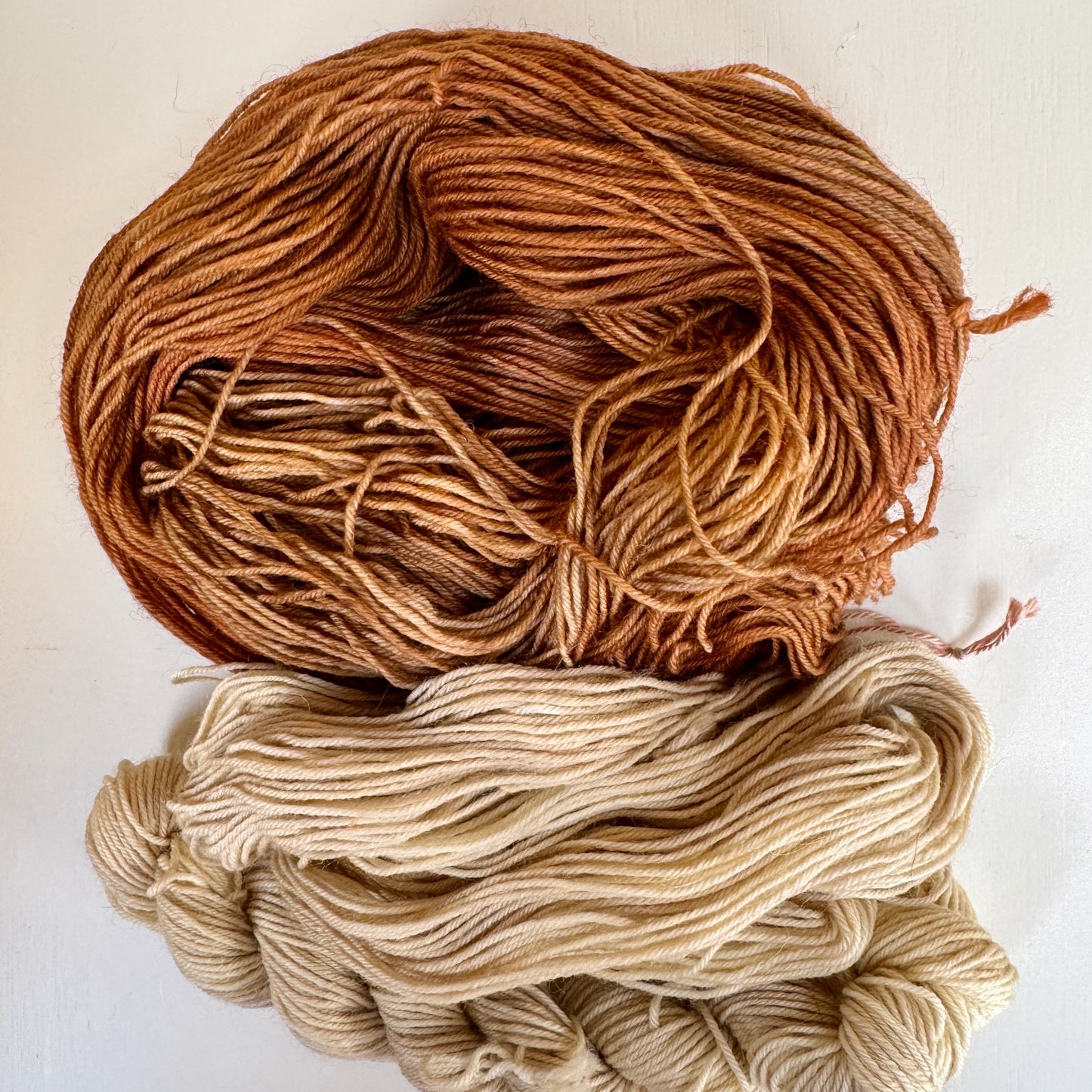 Cappuccino  "Frill Seeker" Sock Kit
